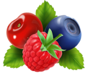 Вкусовые сигареты